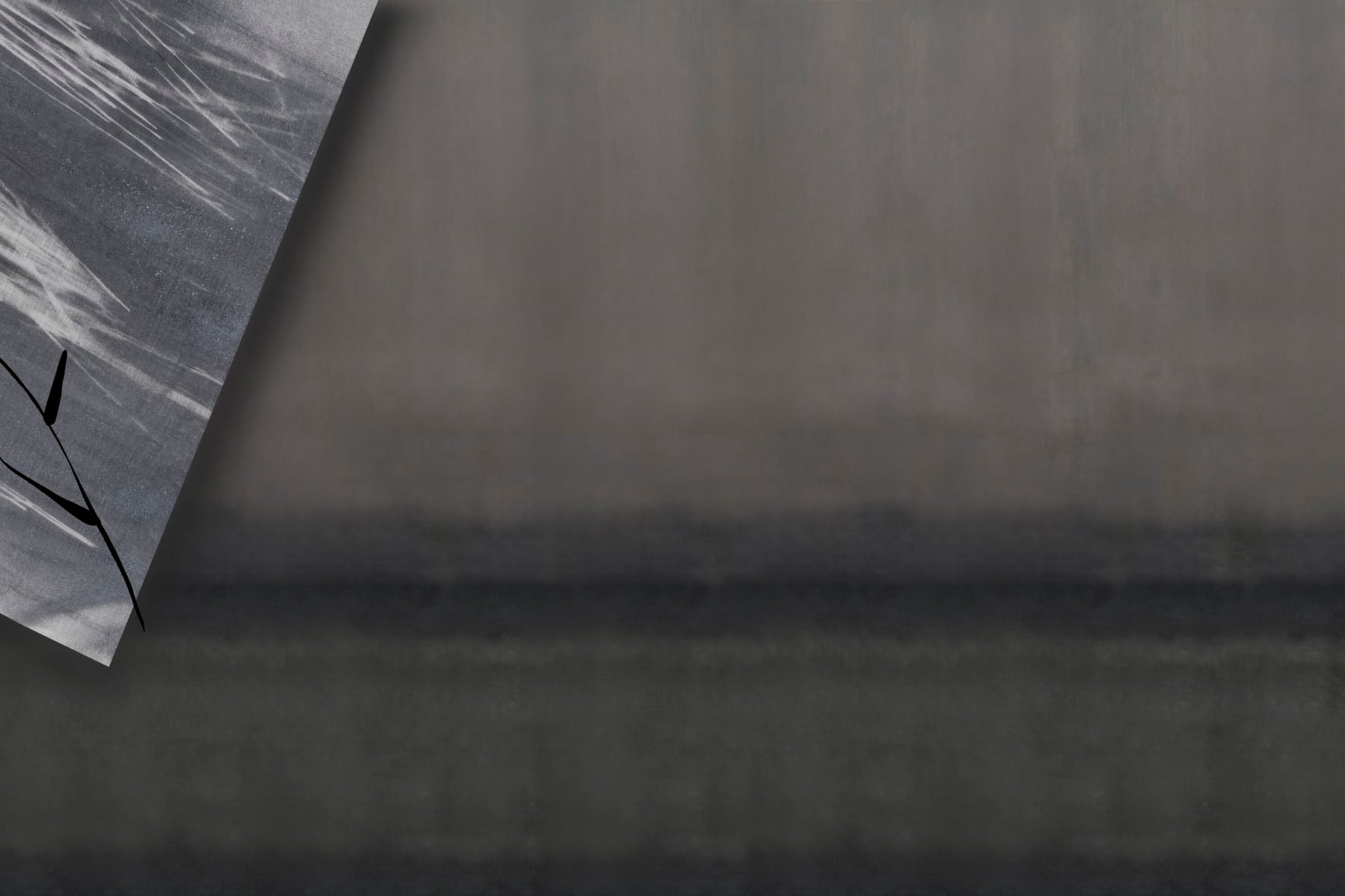 Nel silenzio dell’acqua