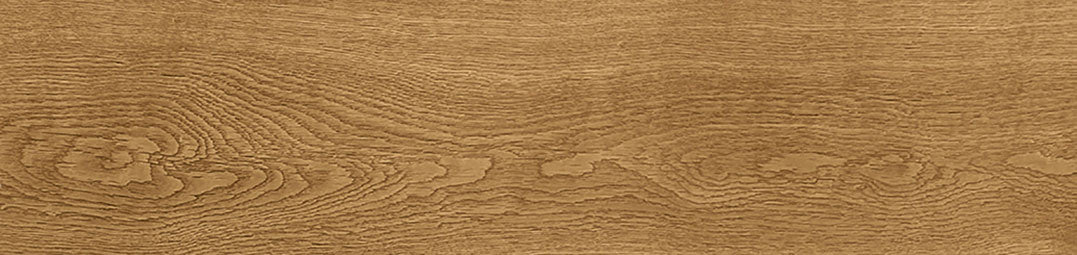 Trasparente Premium Business