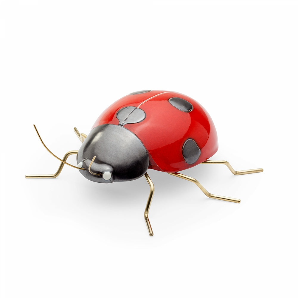 Fauna Ladybug