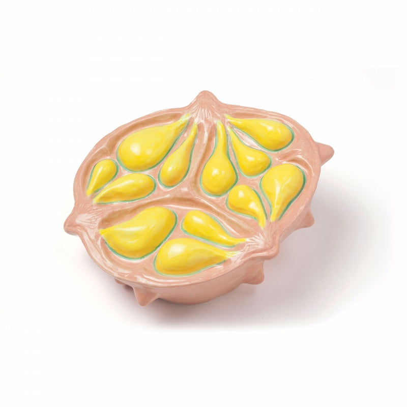 Salvé Terra Horned Melon