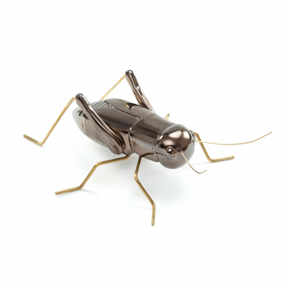 Fauna Cricket