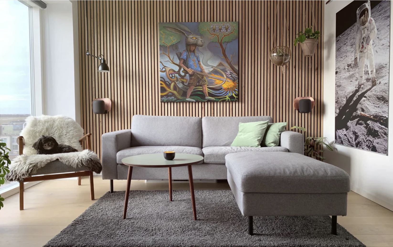 Acoustic Panels