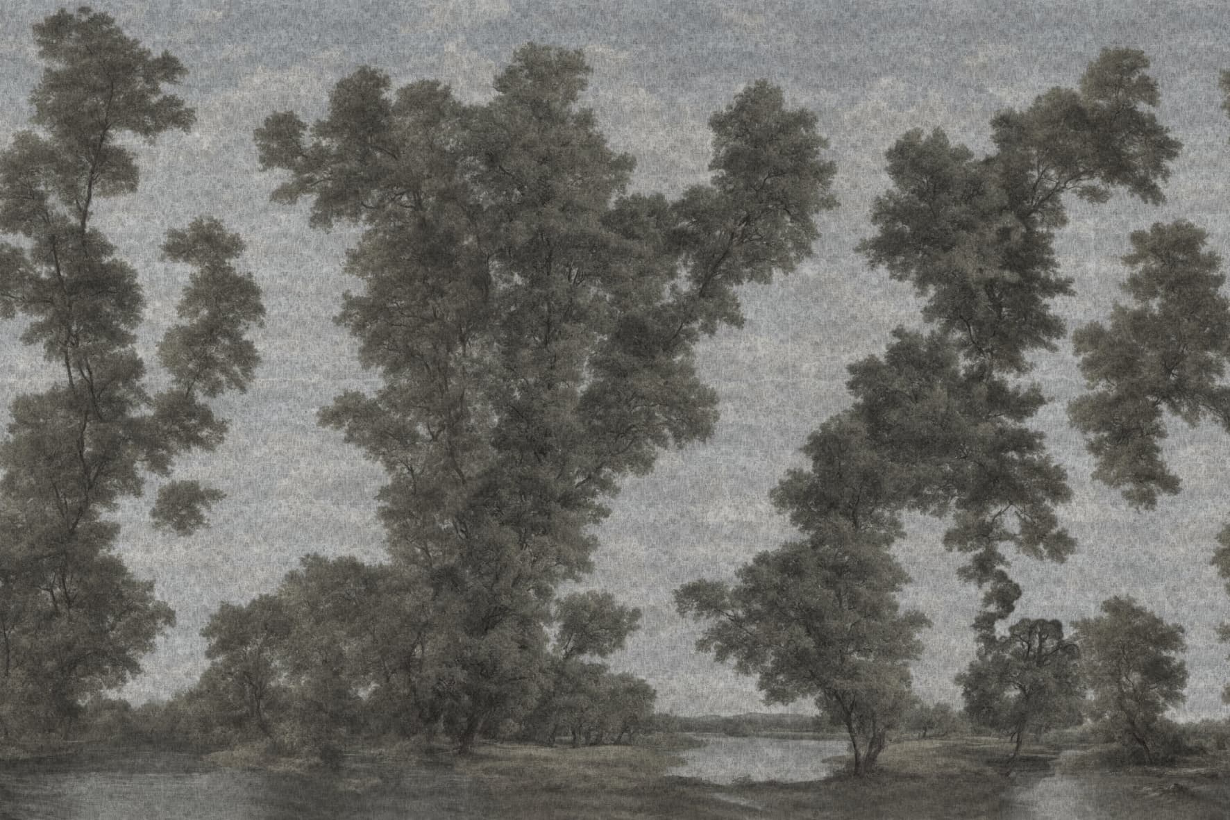 L’isola degli alberi