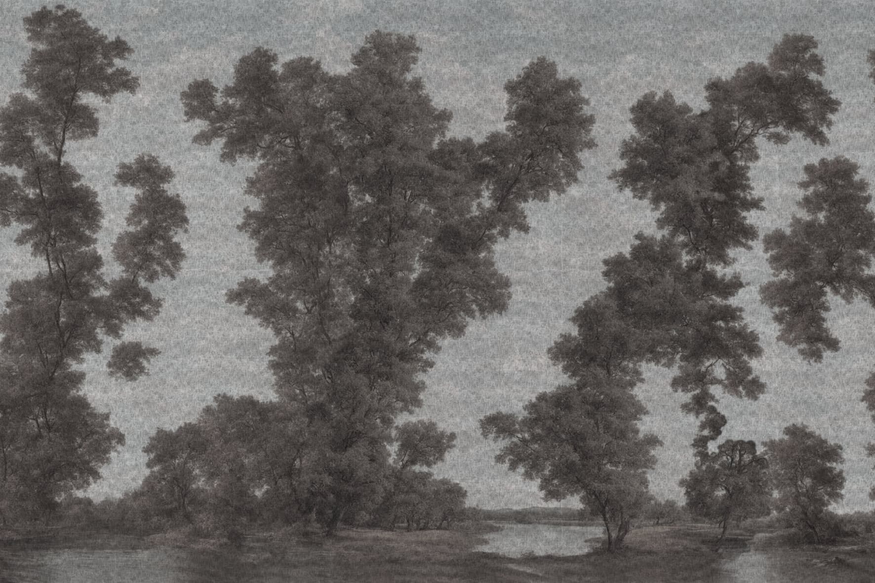 L’isola degli alberi