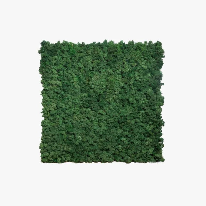 Moss Panels