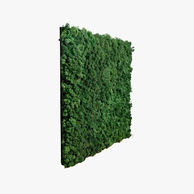 Moss Panels