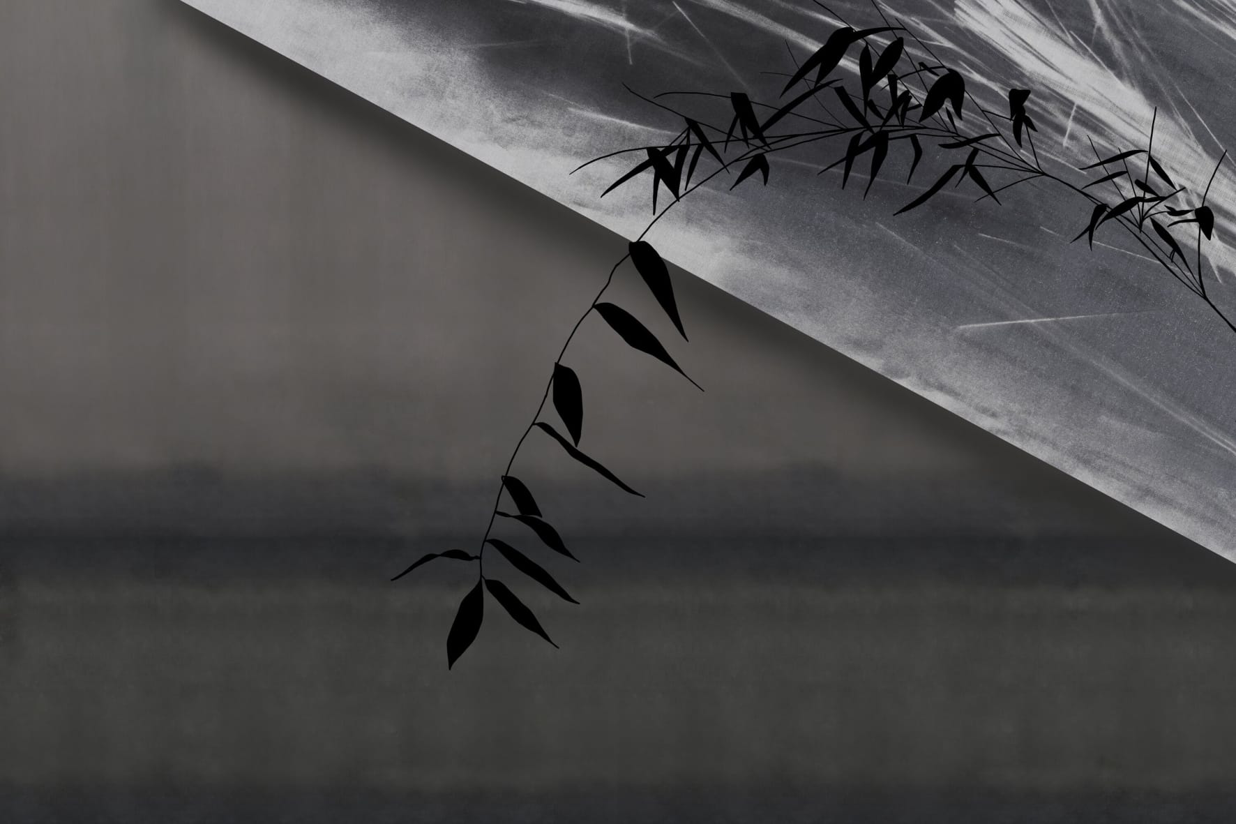 Nel silenzio dell’acqua