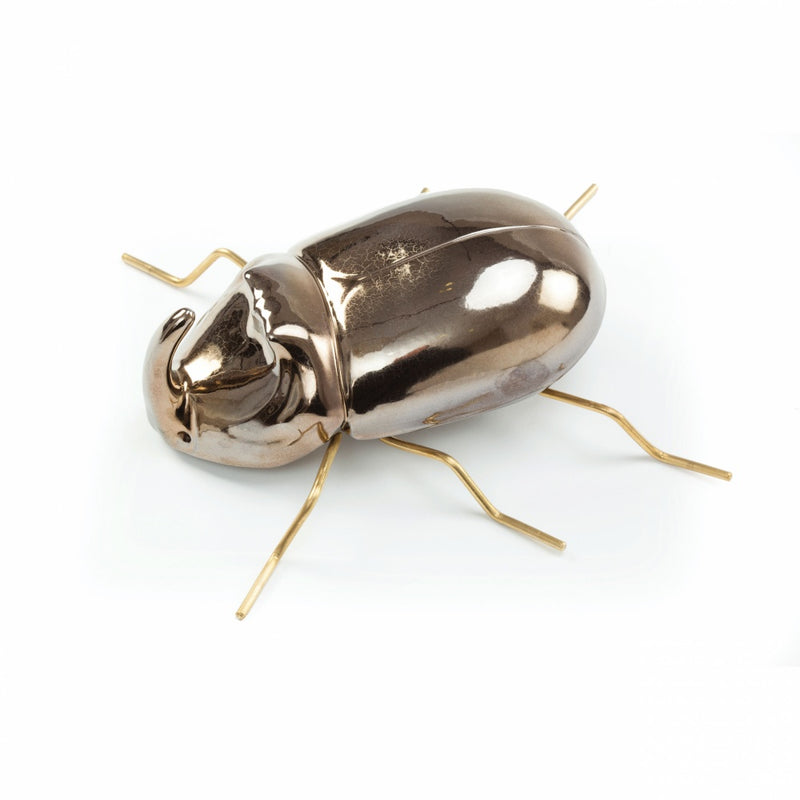 Fauna Rhinoceros Beetle