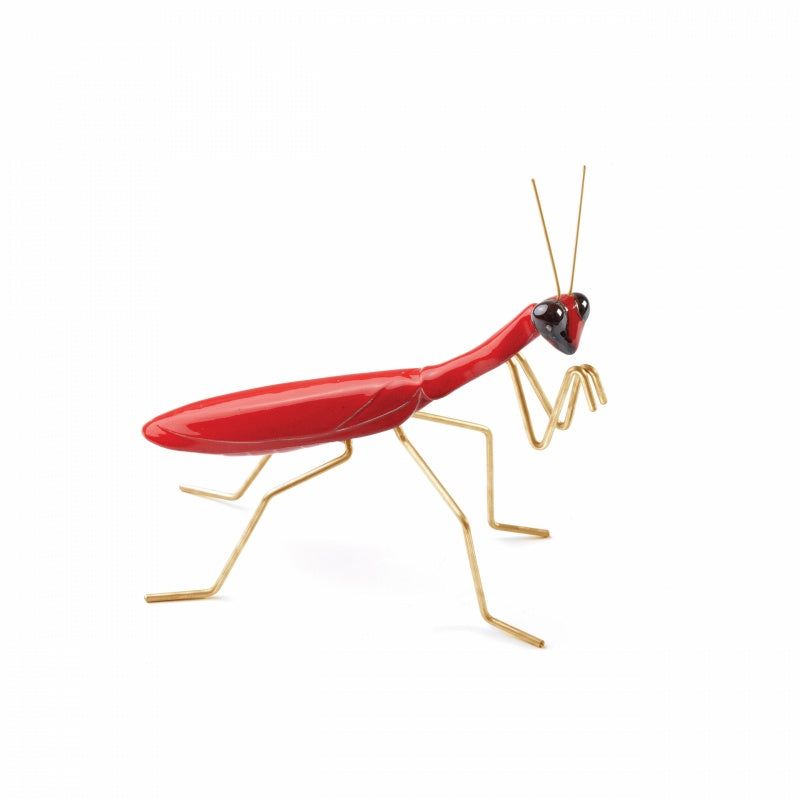 Fauna Praying Mantis