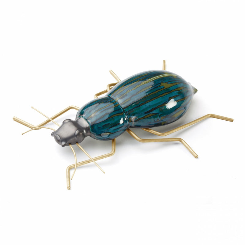 Fauna Beetle