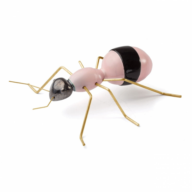 Fauna Ant