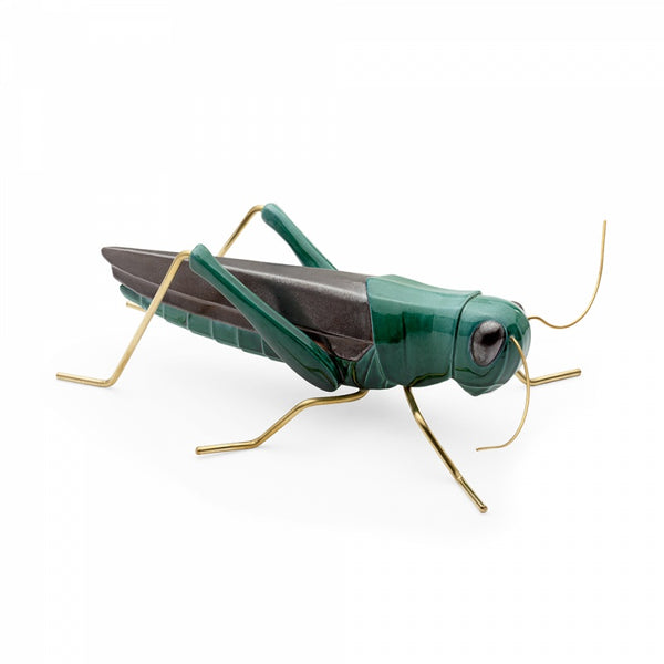 Fauna Grasshopper