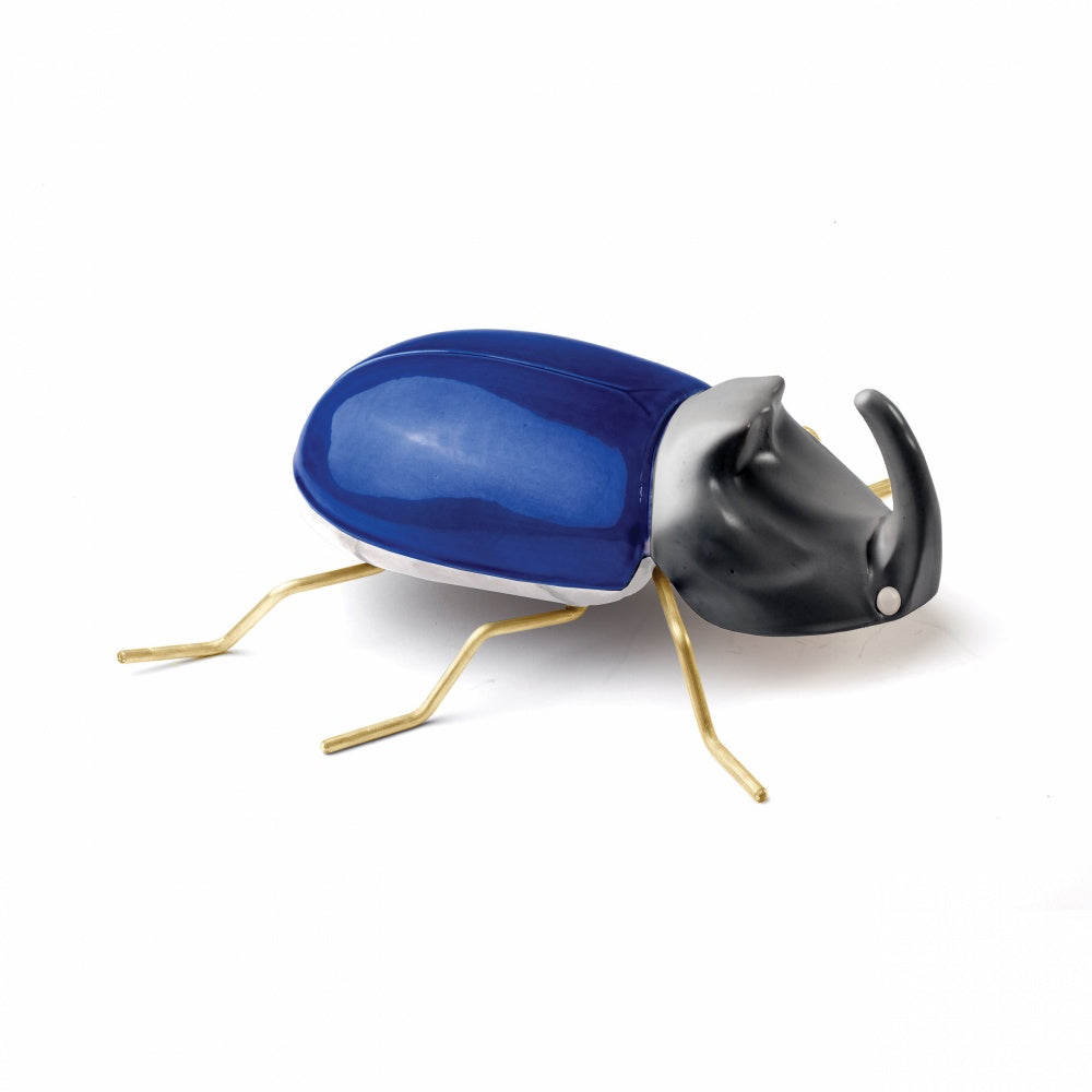 Fauna Rhinoceros Beetle